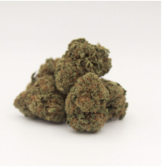 Organic Guys CBD OG Berry Mini Buds 14g