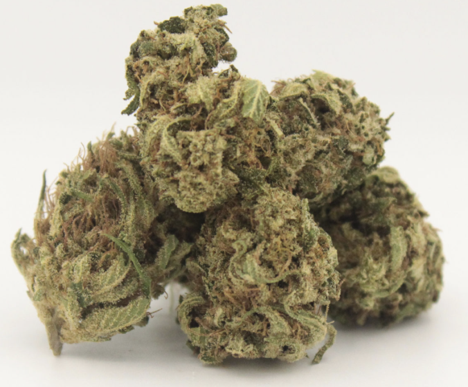 Organic Guys CBD OGello GH Mini Buds  14g