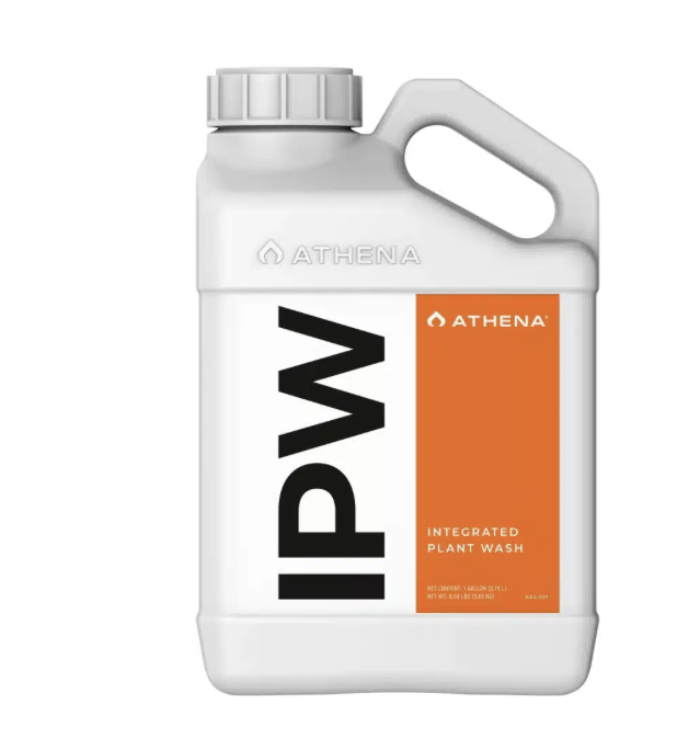 Athena Athena IPW 946ml (ehem. IPM)