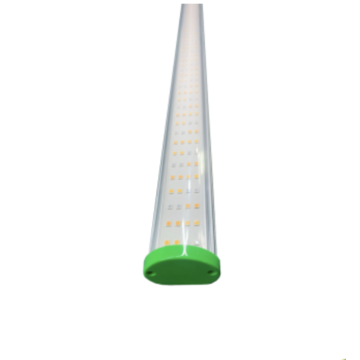 Root!t ROOT!T LED-Leiste, 26 W