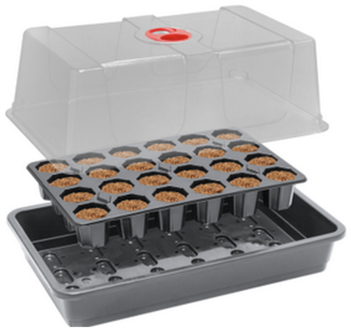 Root!t ROOTIT ANZUCHT-SET, INKL. 24ER TRAY ANZUCHTWÜRFEL + GEWÄCHSHAUS