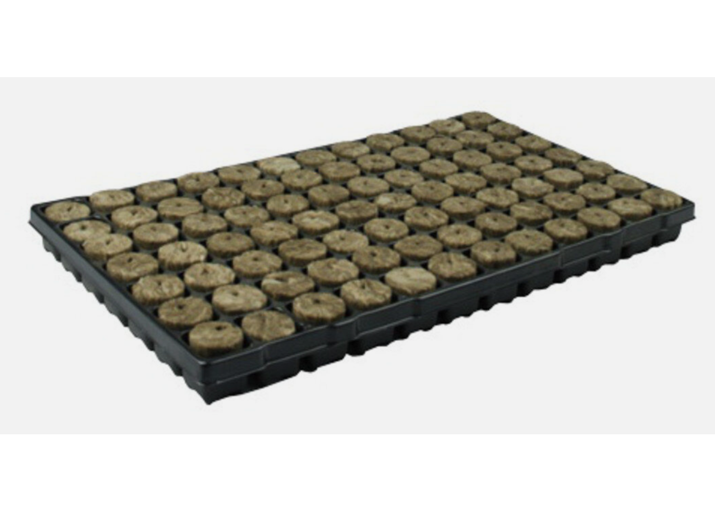 Speedgrow SpeedGrow® Green 84er Anzuchtmatte mit 84 Stecklingsblöcken 38x40mm