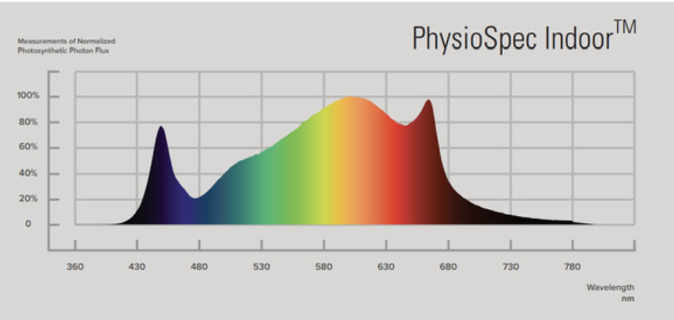 Fortis Fortis BYD LED 720W