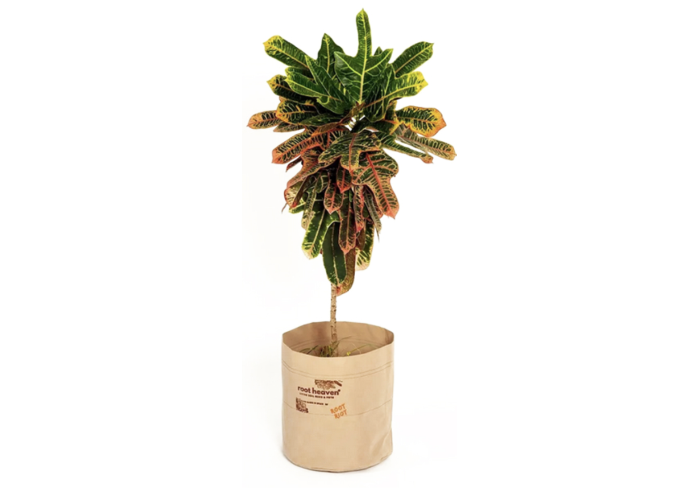 Root Riot Root Heaven Pot 100L