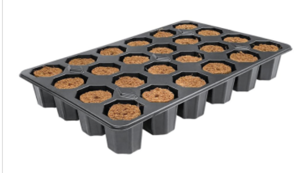 Root!t ROOT!T Anzuchtwürfel, torffrei, Tray mit 24 Stück