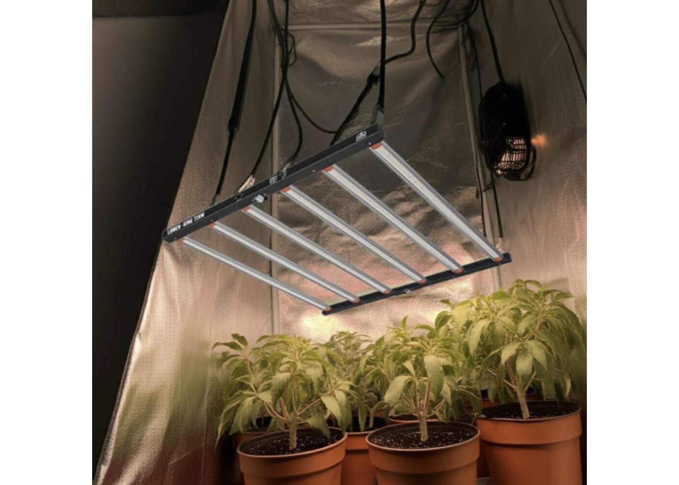 Lumenking LUMEN KING LED Eco-Line 720W 2.7