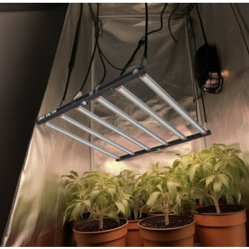 Lumenking LUMEN KING LED Eco-Line 720W 2.7