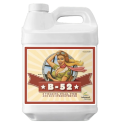 Advanced Nutrients Advanced Nutrients  B52 5l