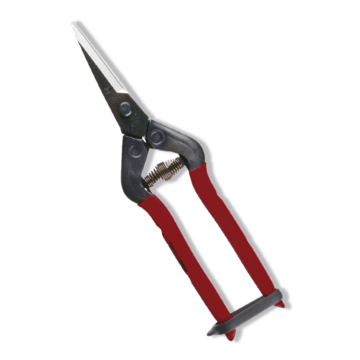 Chikamasa Chikamasa Schere T-55C