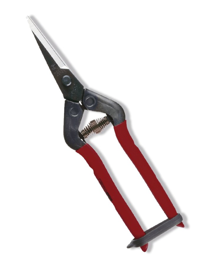 Chikamasa Chikamasa Schere T-55C