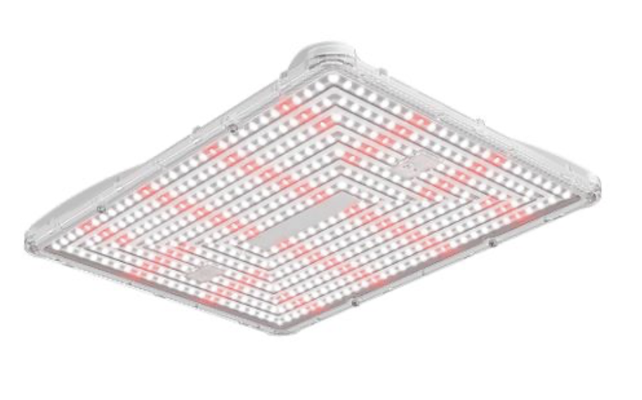 Secret Jardin Secret Jardin LED Power Pack 250W FS