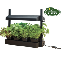 Garland Garland  Micro Grow Light Garden LED Black