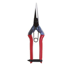 Chikamasa Schere Chikamasa T-550 Gartenschere Japan