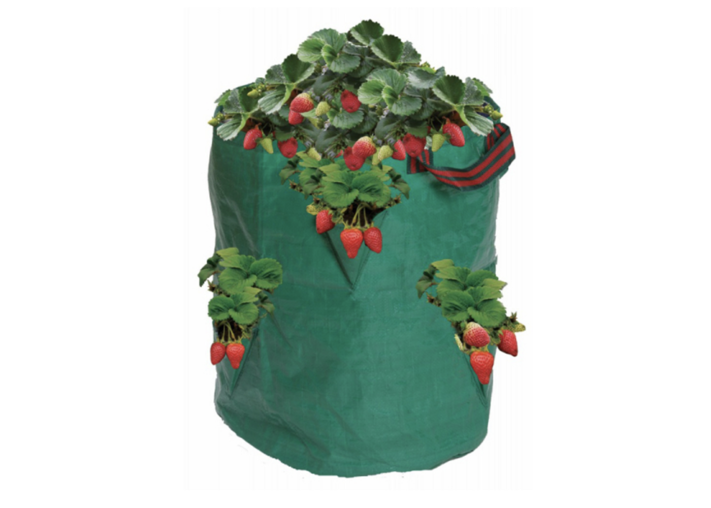 Garland Garland Erdbeeren und Kräutersack