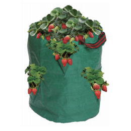 Garland Garland Erdbeeren und Kräutersack