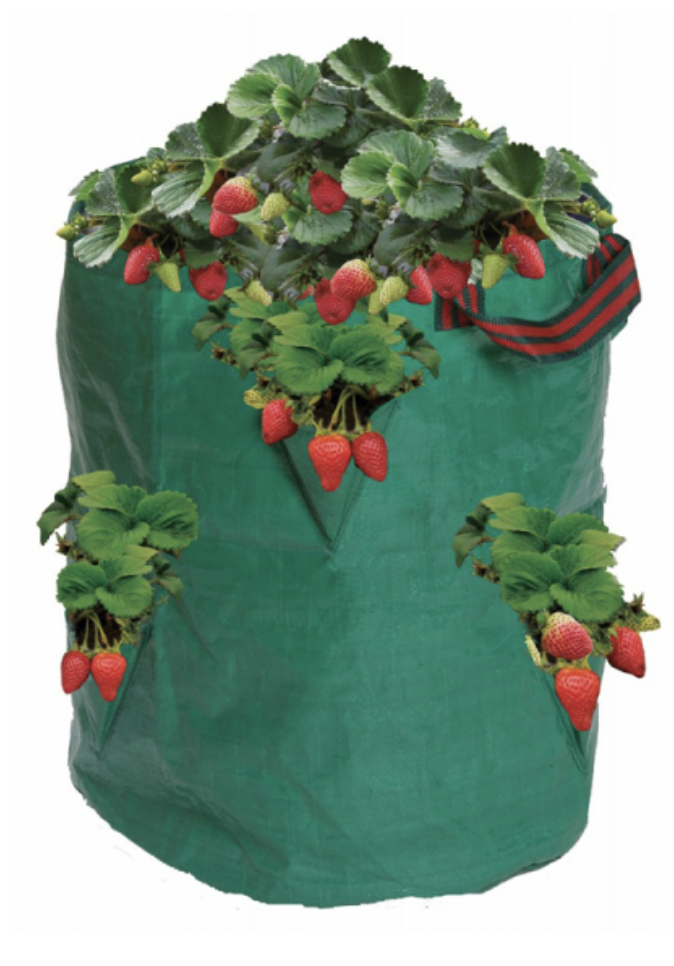 Garland Garland Erdbeeren und Kräutersack