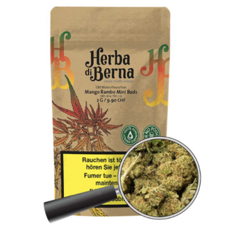 Herba di Berna Herba di Berna Mango Rambo Indoor Mini Buds 15g