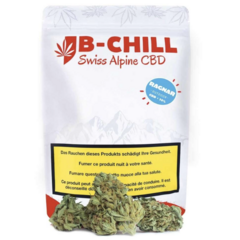 B-Chill B-Chill Outdoor Ragnar 45g
