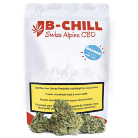 B-Chill B-Chill Outdoor Ragnar 45g