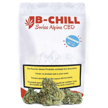 B-Chill B-Chill Outdoor Ragnar 45g