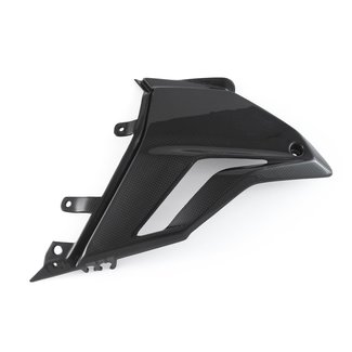 FULLSIX Carbon LOWER FAIRING - LEFTSTREETFIGHTER V4 (2020 - )