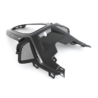 FULLSIX Carbon SEAT / TAIL - CENTERS1000RR (2019 - )