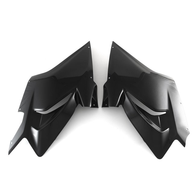 FULLSIX Carbon FullSix RACE FAIRING SIDE PANEL - SET Panigale V4 (2018 - 2019)