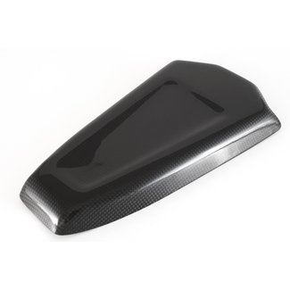 FULLSIX Carbon FUEL TANK BOTTOM PROTECTIONPanigale V4 (2018 - 2019)