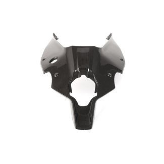 FULLSIX Carbon UNDERTAIL - COVERPanigale V4 (2018 - 2019)