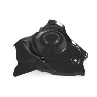 FULLSIX Carbon SPROCKET COVERRSV4 (2009-)