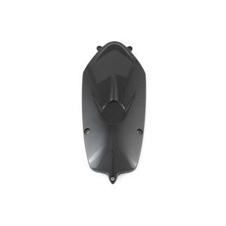 FULLSIX Carbon ENGINE COVERR NINE T (2014 -)