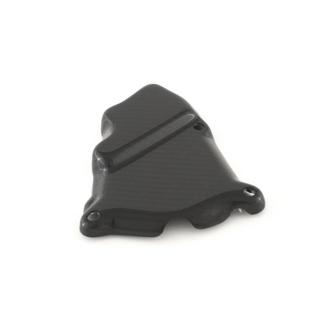 FULLSIX Carbon FullSix IGNITION ROTOR PROTECTION GUARD S1000RR (2009-2011)