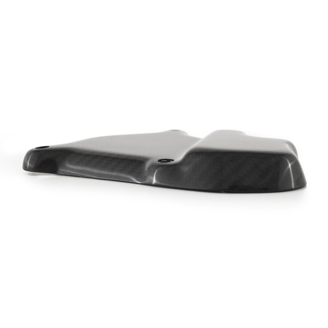 FULLSIX Carbon FullSix IGNITION ROTOR PROTECTION GUARD S1000RR (2009-2011)