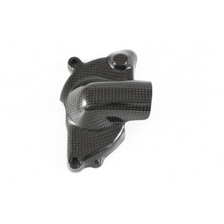 FULLSIX Carbon WATER PUMP PROTECTION GUARDSTREETFIGHTER + JK 848/1100 (2009 - 2019)