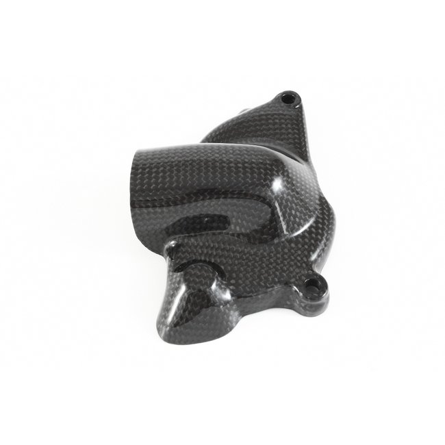 FULLSIX Carbon FullSix WATER PUMP PROTECTION GUARD STREETFIGHTER + JK 848/1100 (2009 - 2019)