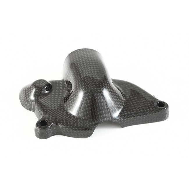 FULLSIX Carbon FullSix WATER PUMP PROTECTION GUARD STREETFIGHTER + JK 848/1100 (2009 - 2019)