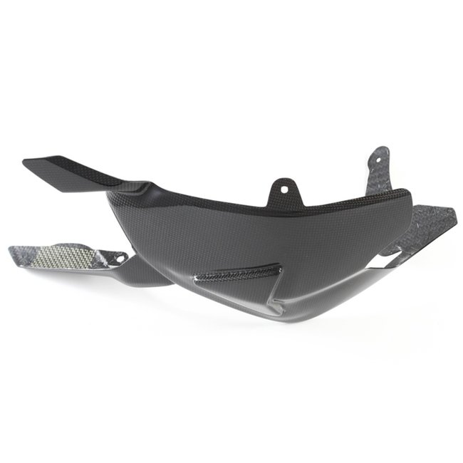 FULLSIX Carbon FullSix SWINGARM GUARD - ONEPIECE1199 PANIGALE (2011 -2014)