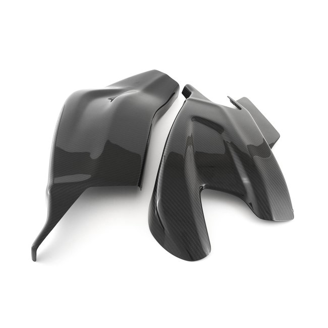 FULLSIX Carbon FullSix SWINGARM GUARD - SET S1000RR (2017 - 2018 )