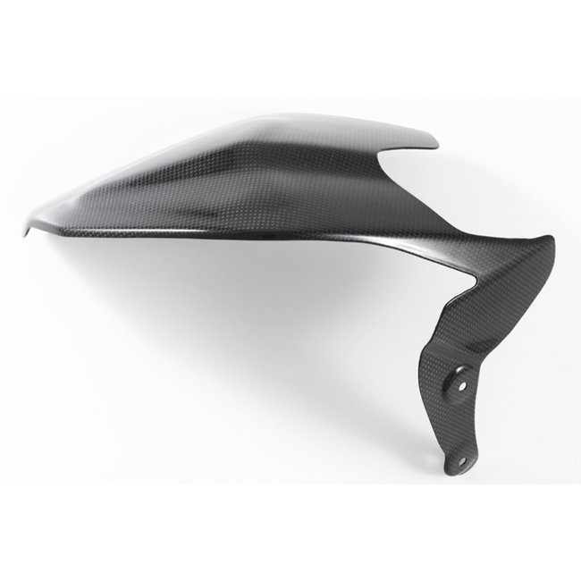 FULLSIX Carbon FullSix SWINGARM GUARD - GUARD 1199 PANIGALE (2011 -2014)