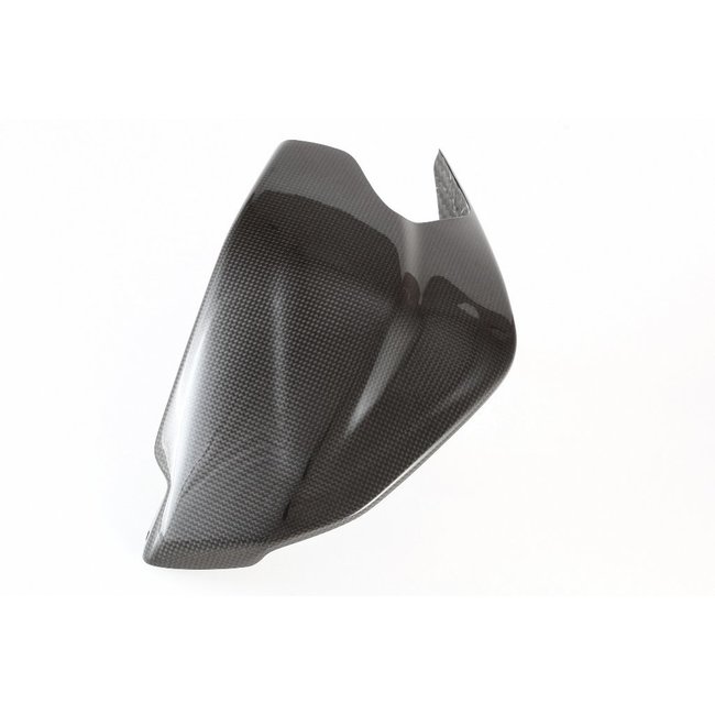 FULLSIX Carbon FullSix SWINGARM GUARD - GUARD1199 PANIGALE (2011 -2014)