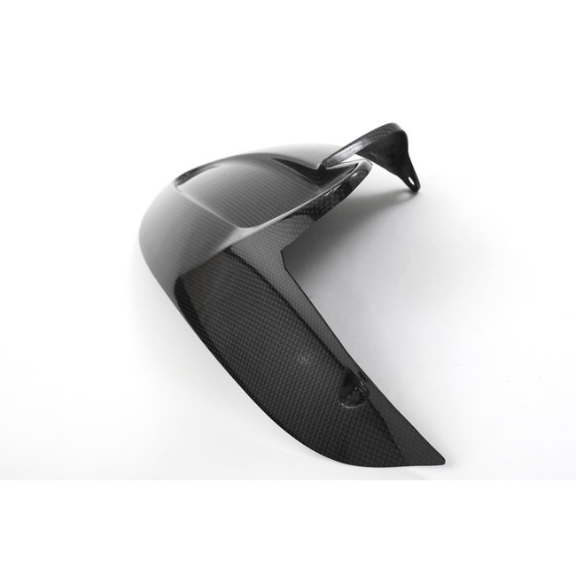 FULLSIX Carbon FullSix REAR MUDGUARD 796/1100MONSTER 696 / 796 / 1100 + John Keogh