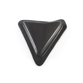 FULLSIX Carbon SWINGARM GUARD - SLIDER1199 PANIGALE (2011 -2014)