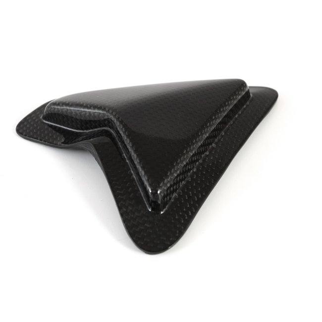 FULLSIX Carbon FullSix SWINGARM GUARD - SLIDER1199 PANIGALE (2011 -2014)