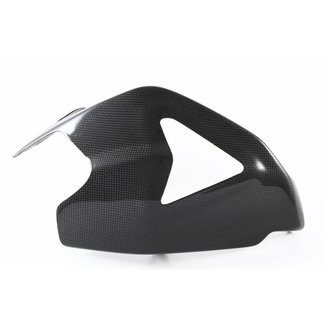 FULLSIX Carbon SWINGARM GUARD - GUARDPANIGALE R (2015-2018)