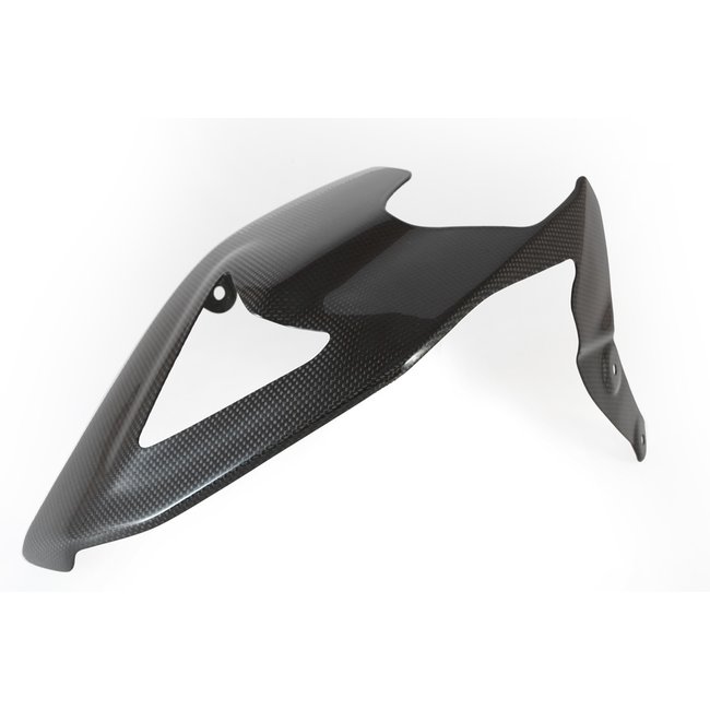 FULLSIX Carbon FullSix SWINGARM GUARD - GUARDPANIGALE R (2015-2018)
