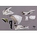 Bikesplast Bikesplast Rennverkleidungen - Yamaha R1 2009 - 2011