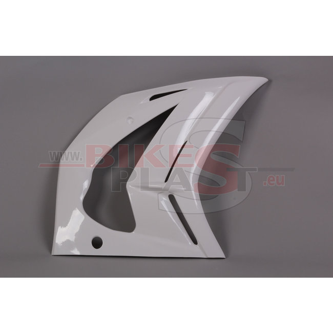 Bikesplast Kawasaki ZX-10R 2011 - 2015