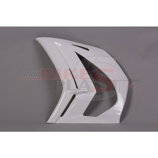 Bikesplast Kawasaki ZX-10R 2011 - 2015