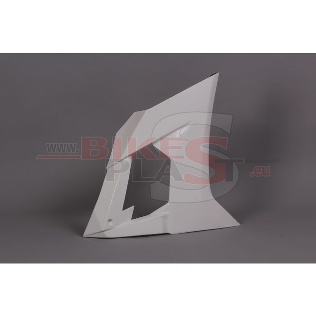 Bikesplast Kawasaki ZX-10R 2008 - 2010