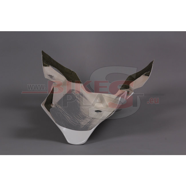 Bikesplast Kawasaki ZX-10R 2008 - 2010